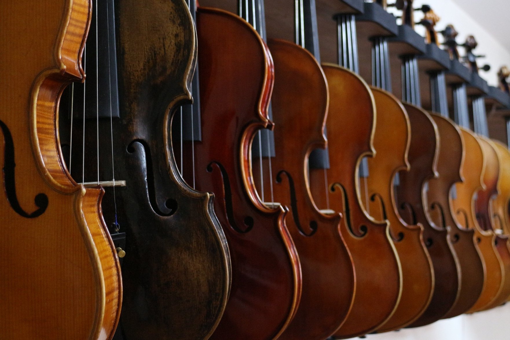 Variety of Violins